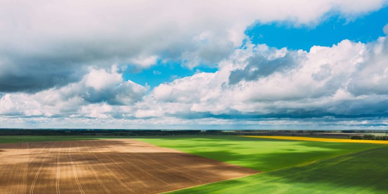 countryside-rural-green-field-landscape-with-young-2021-09-03-00-35-15-utc-min (1)